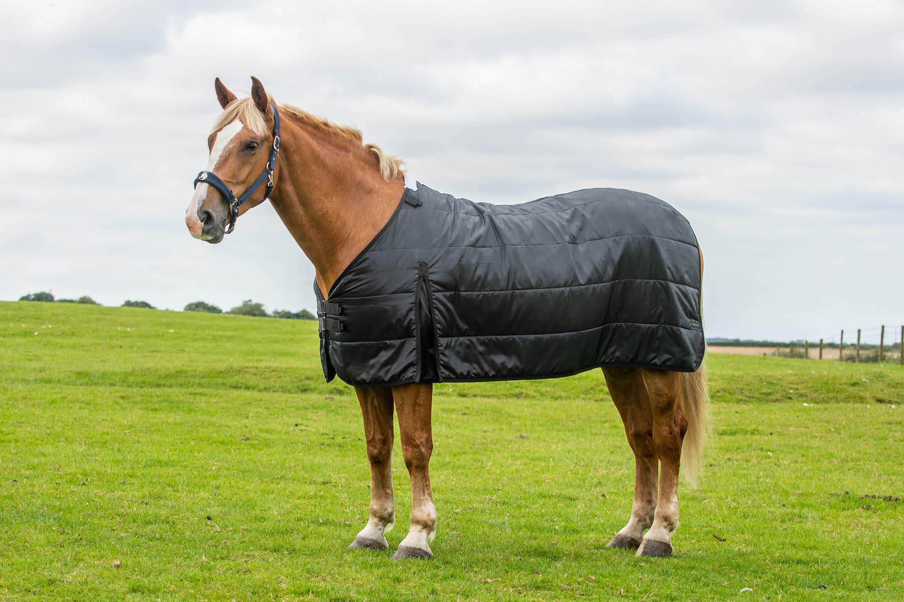 Heavy Horse Rugs: The Complete Rugging System