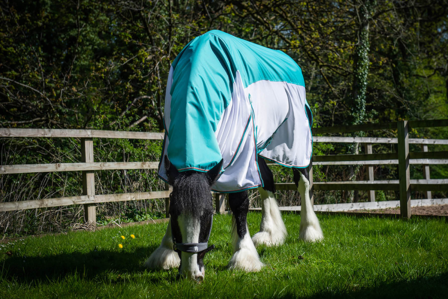 Fly Rugs for Heavy Horses Waterproof Fly Rug