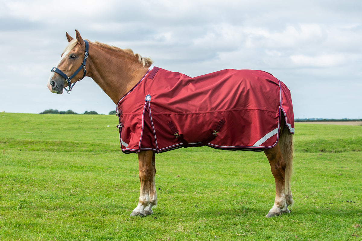 Epic Essential No Fill Turnout Rug  -  Broad Fit