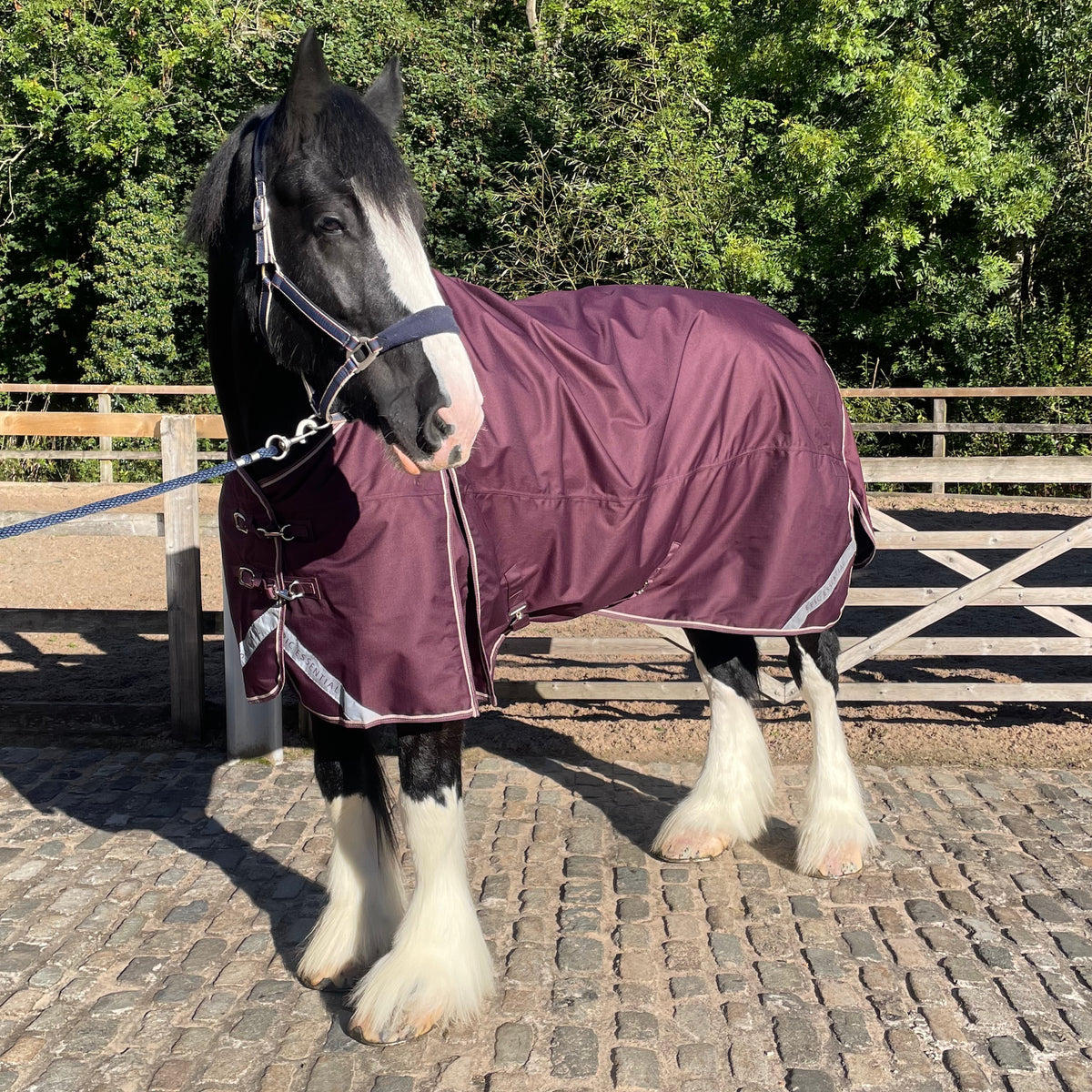 Epic Essential+ 50g Turnout Rug - Broad Fit - Fig