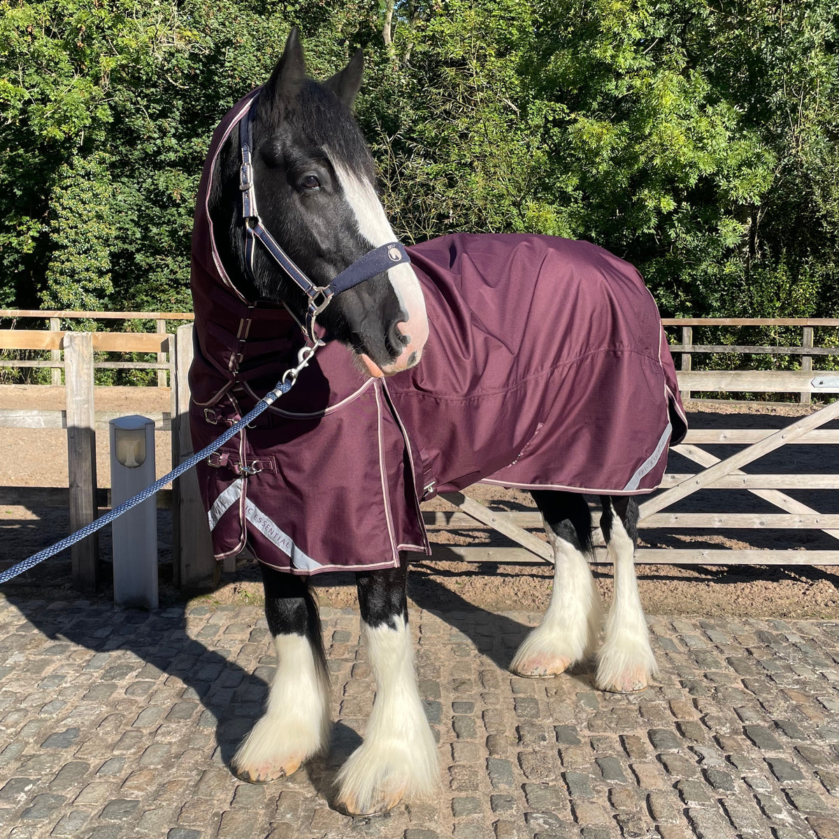 Epic Essential+ 50g Turnout Hood - Broad Fit - Fig