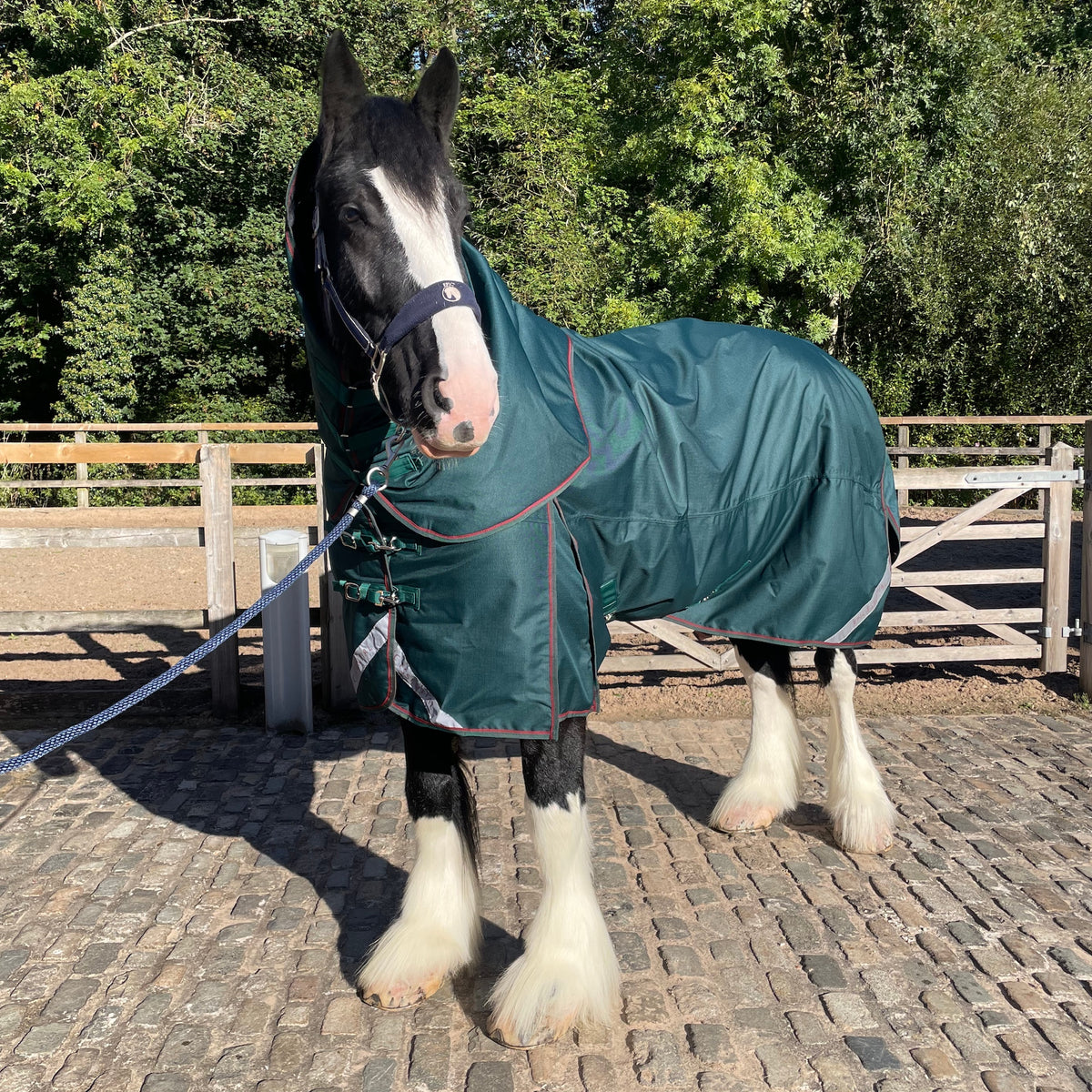 Epic Essential+ 200g Turnout Hood - Broad Fit - Sycamore