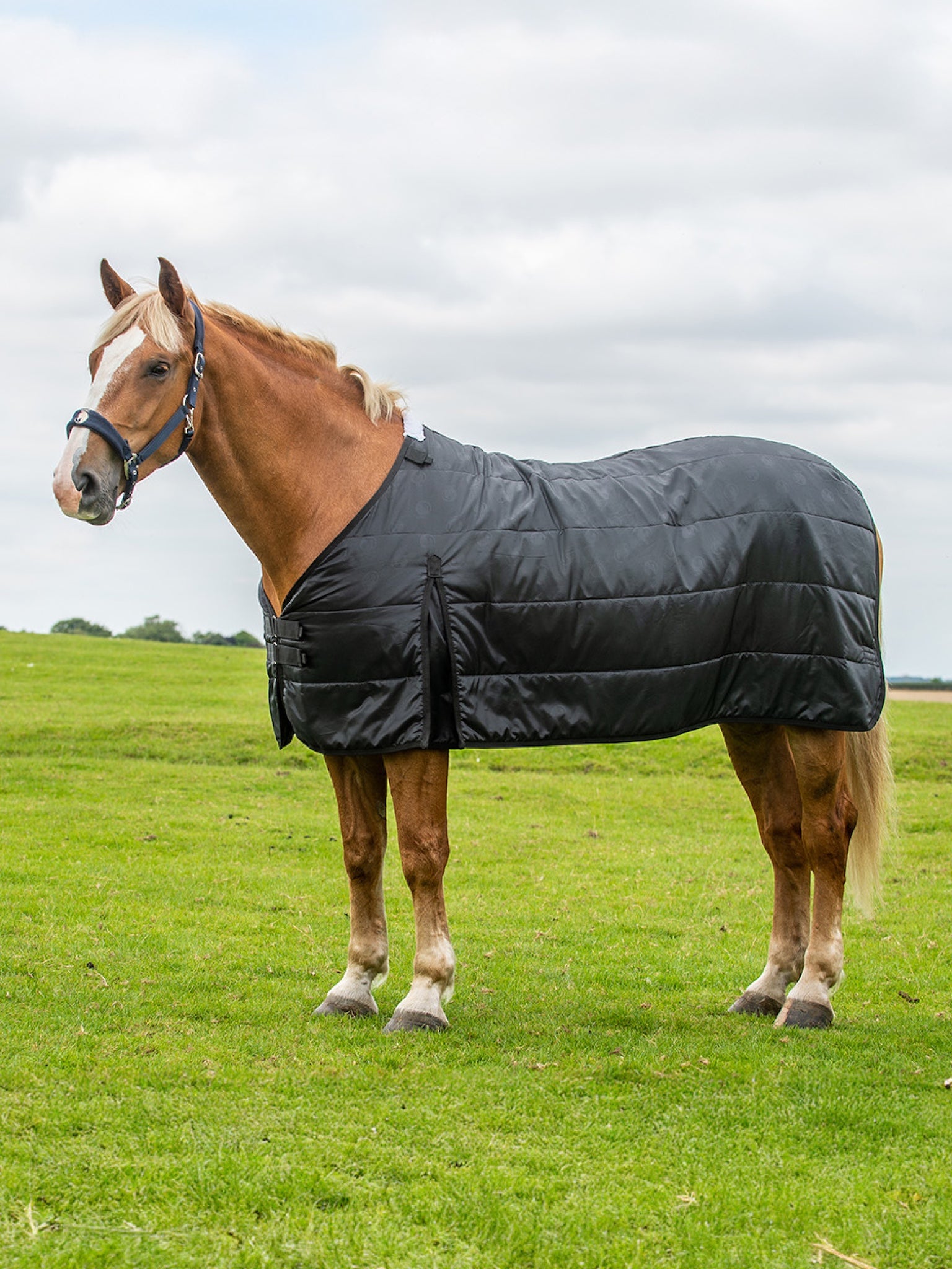 Epic Classic 100g Liner Rug - Broad Fit