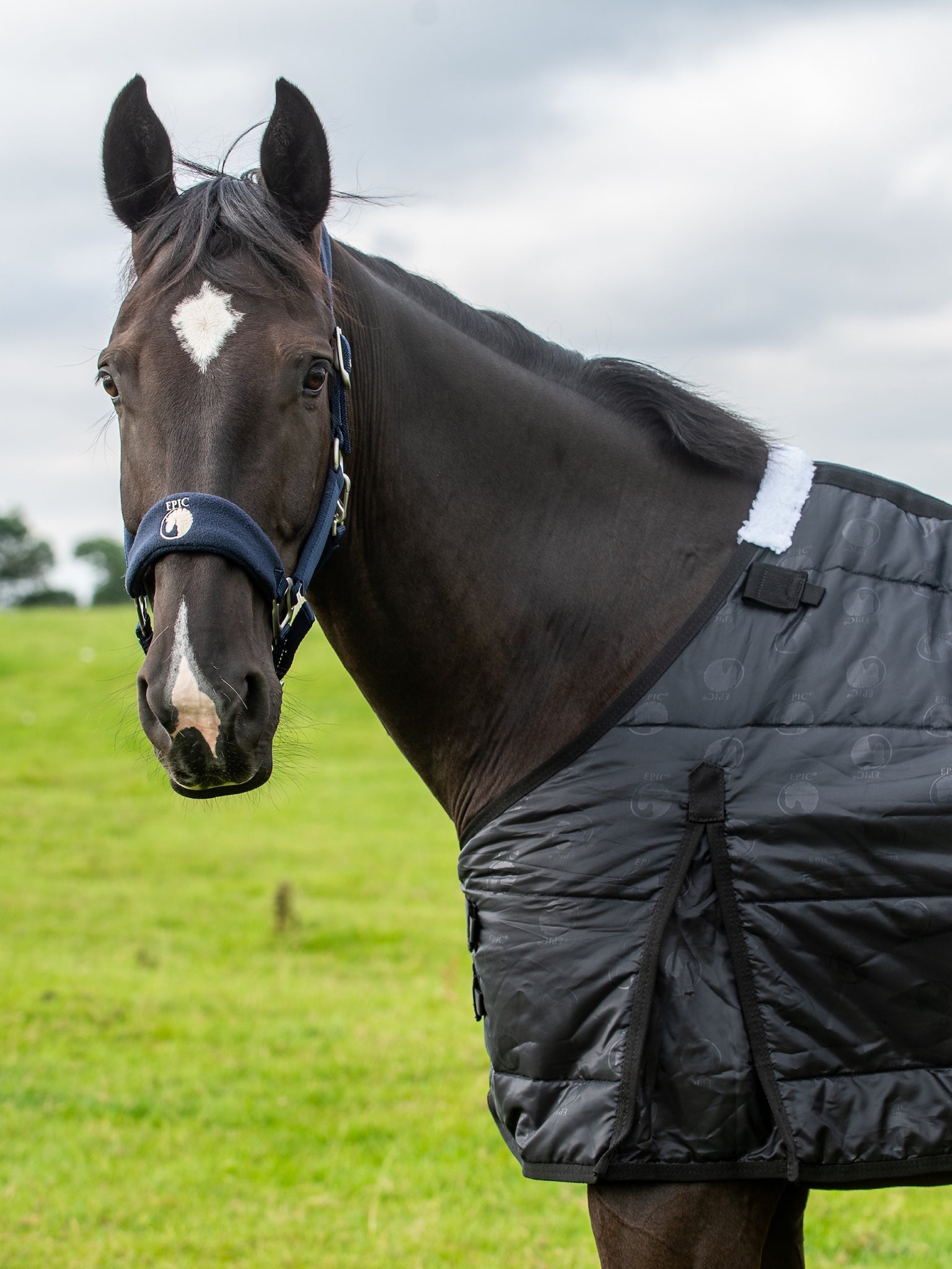 Epic Classic 300g Liner Rug - Regular Fit