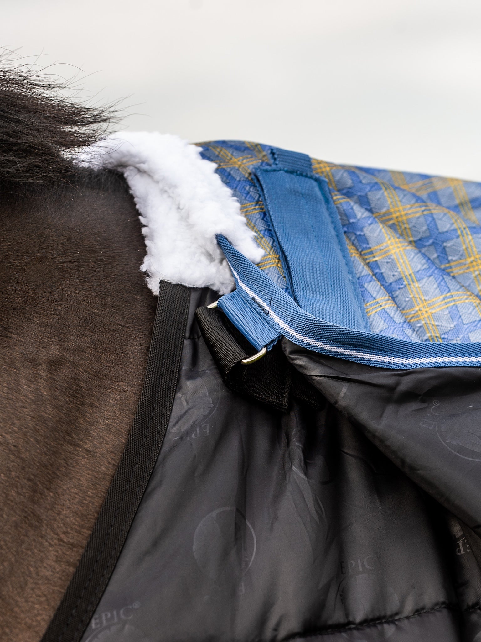 Epic Classic 300g Liner Rug - Regular Fit