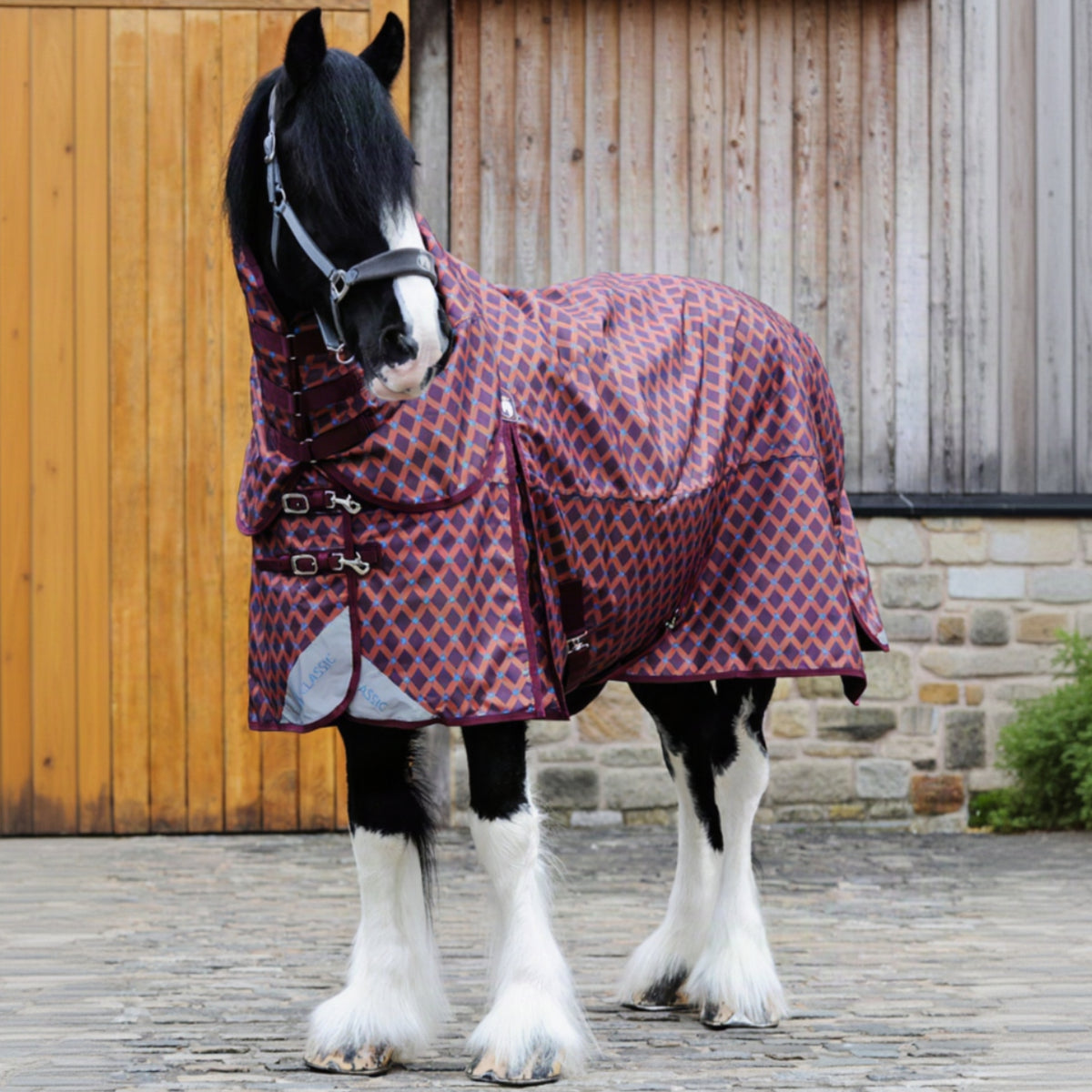 Horse wearing a patterned rug in front of a wooden stable.