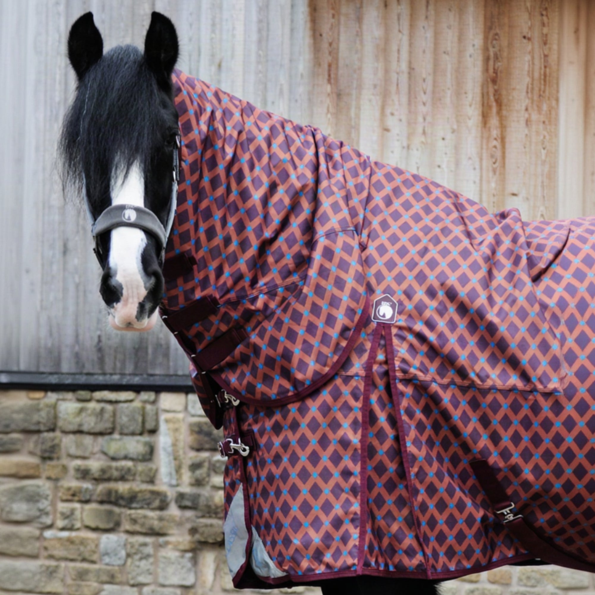 Horse wearing a patterned rug in front of a wooden stable.