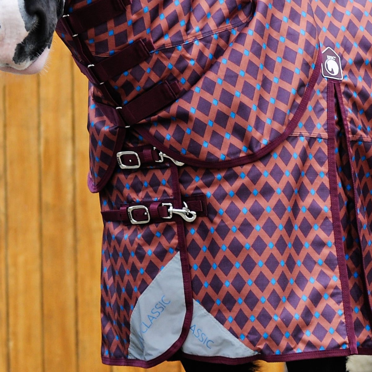 Horse wearing a patterned blanket with a wooden stable background