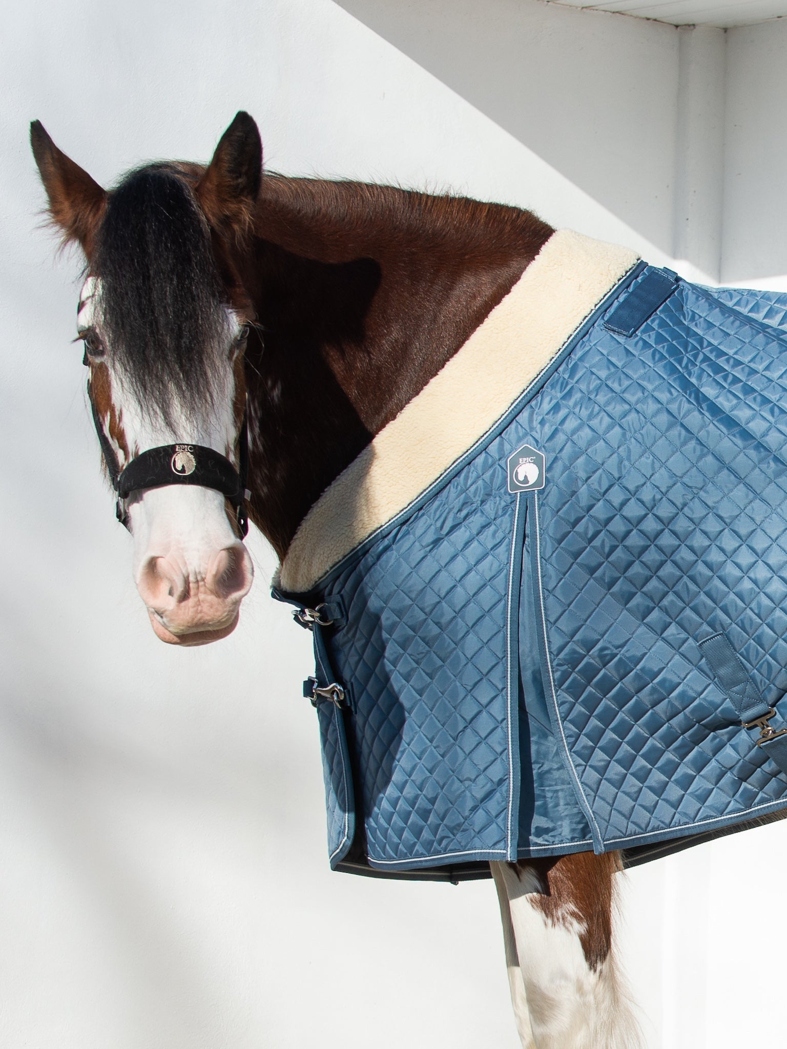 Epic Classic 50g Stable Rug - Broad Fit