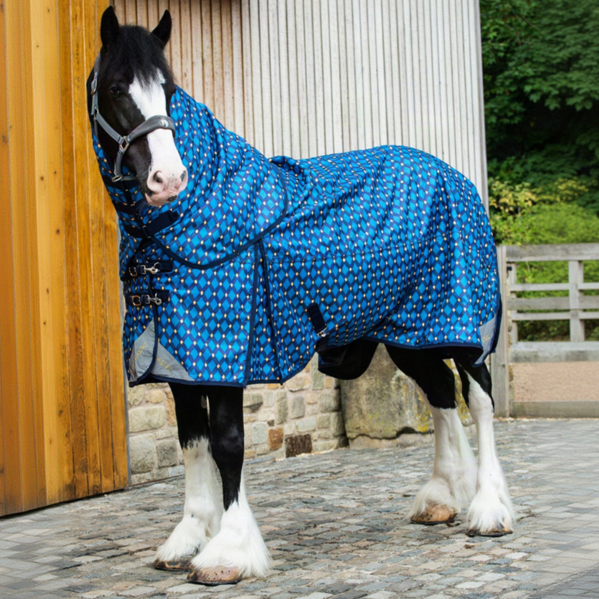 Horse wearing a blue patterned rug standing in front of a wooden stable door.