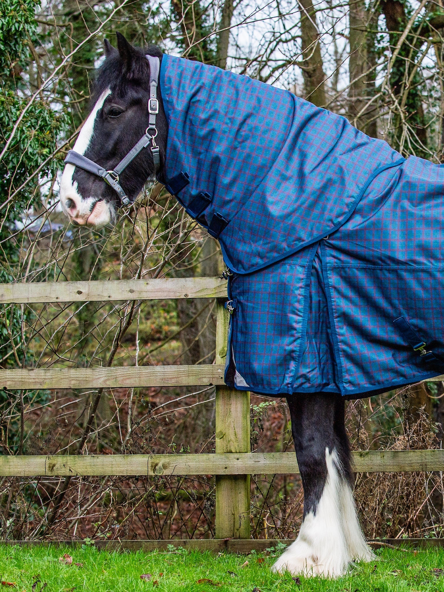 Epic Classic 100g Turnout Hood - Broad Fit