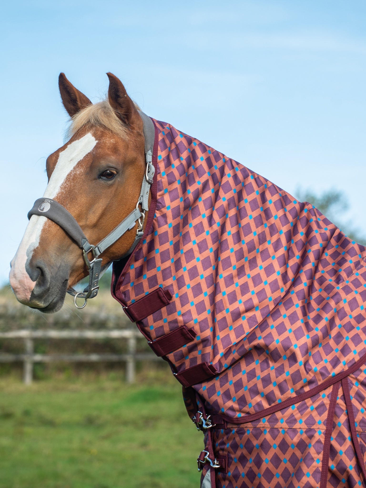 Epic Classic 50g Turnout Hood - Broad Fit