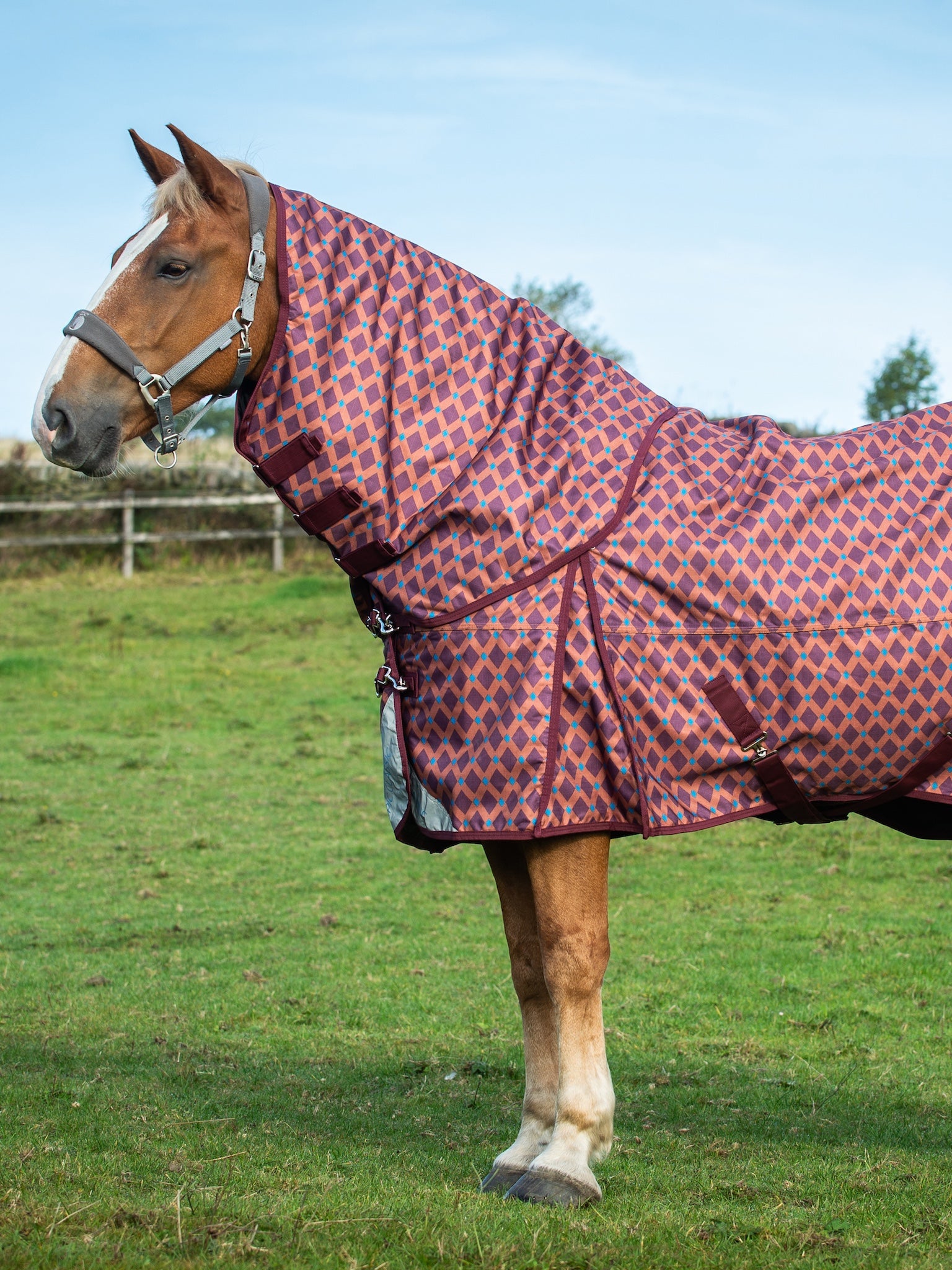 Epic Classic 50g Turnout Hood - Broad Fit