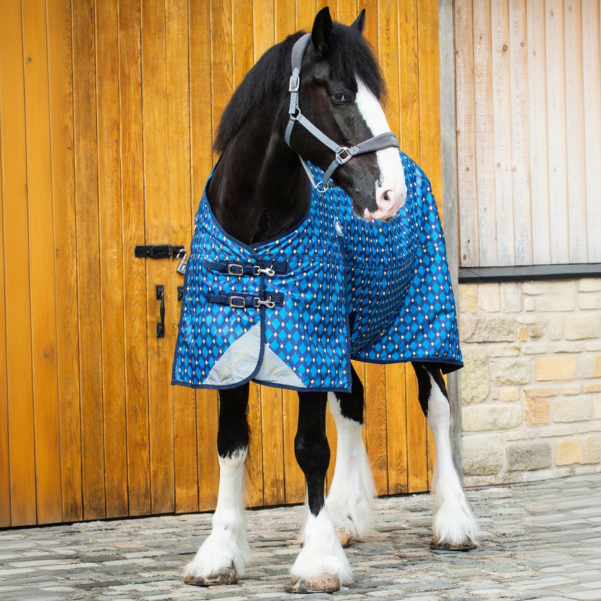 Horse wearing a blue patterned rug in front of a wooden stable door.