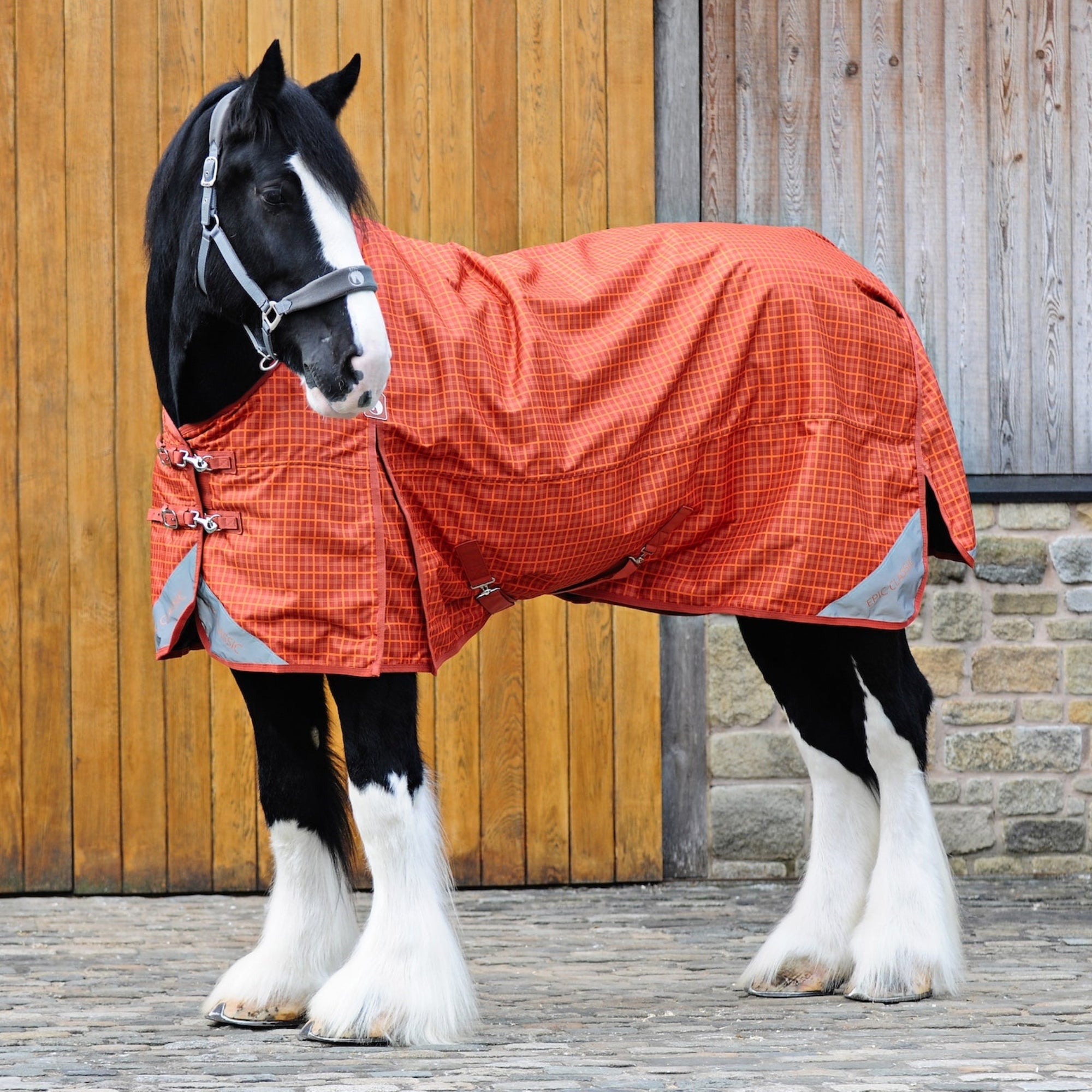 Horse wearing an orange checkered rug standing in front of a wooden stable.