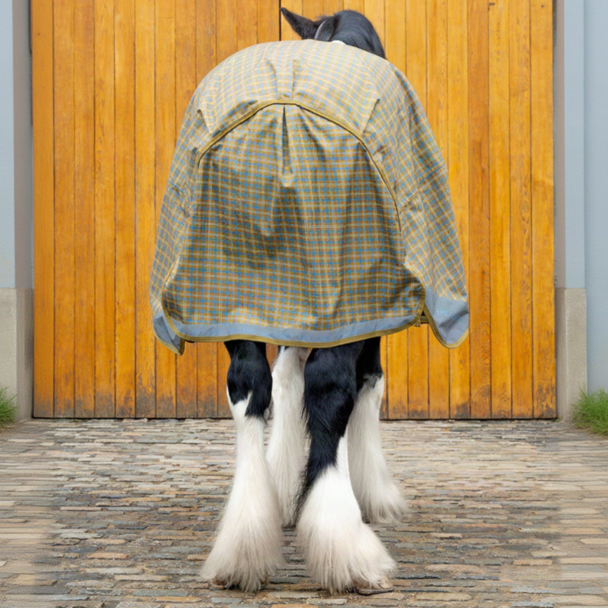 horse wearing a plaid raincoat in front of a wooden door