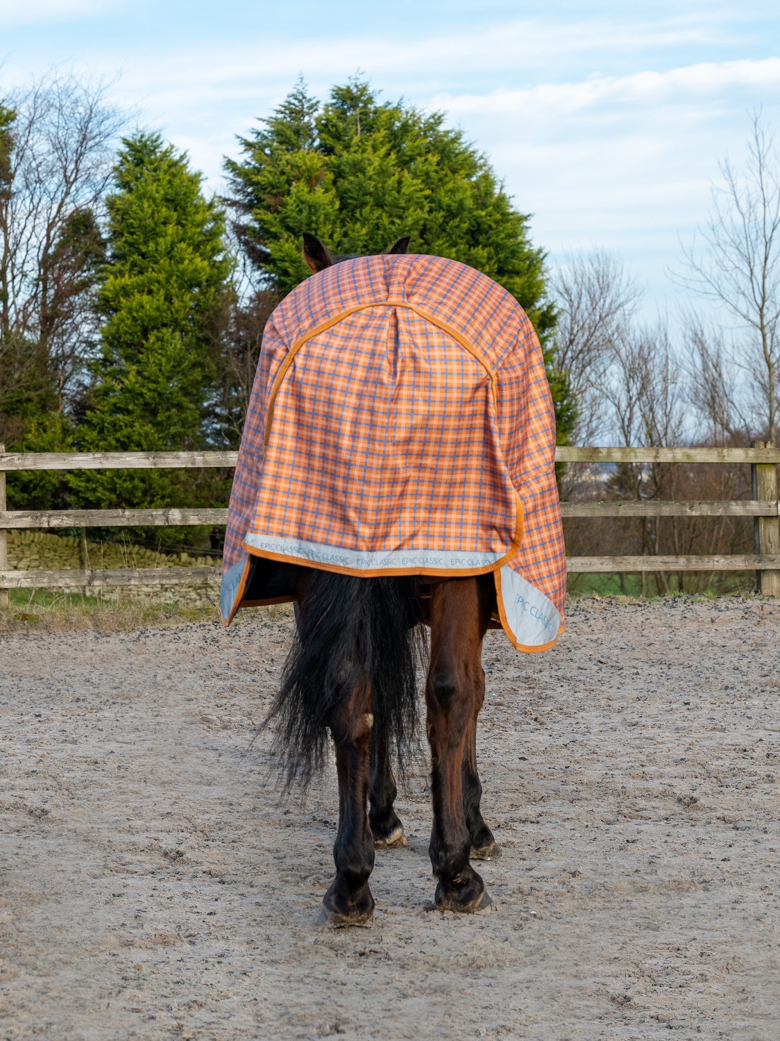 Epic Classic No Fill Turnout Rug - Regular Fit