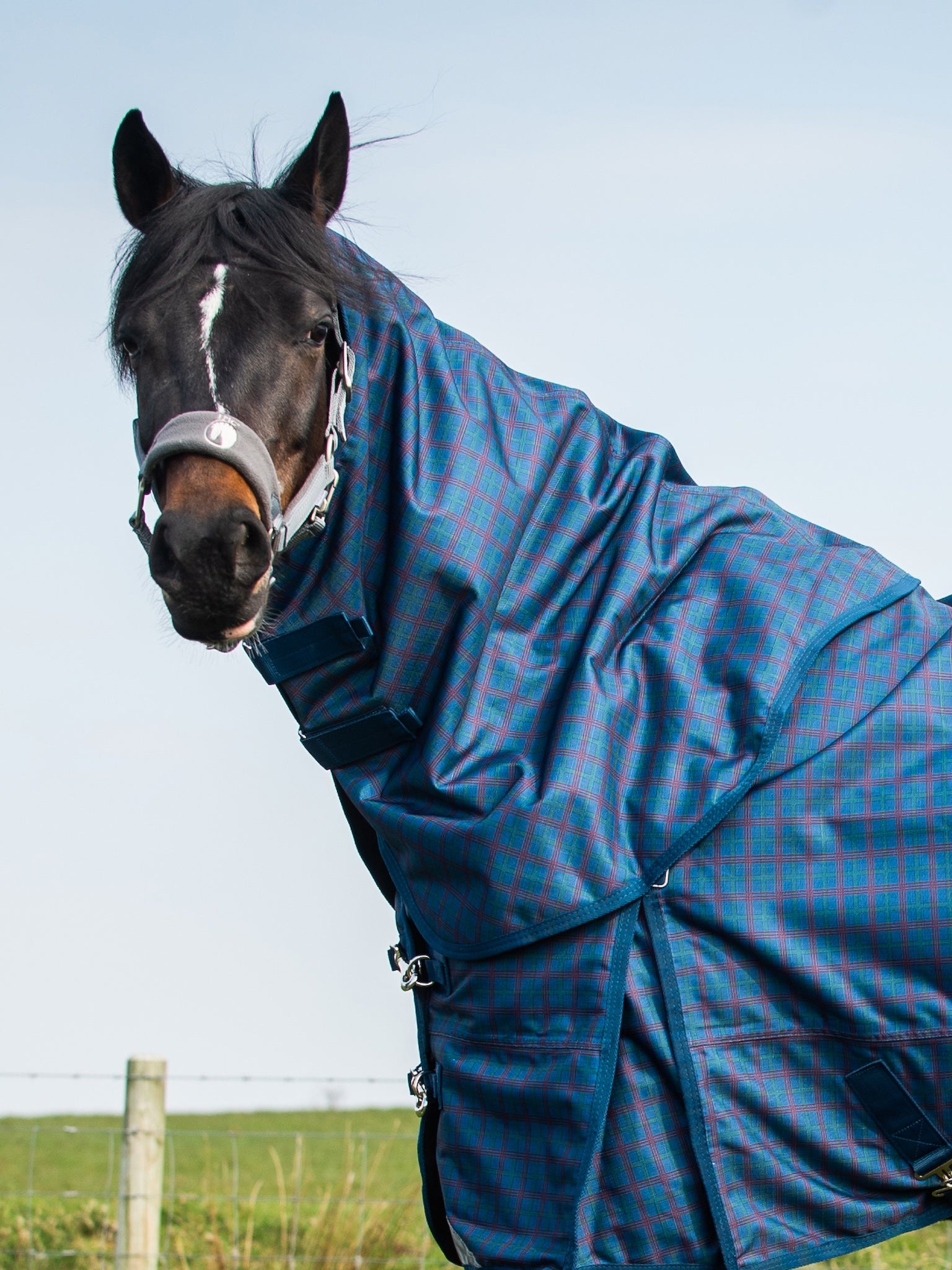 Epic Classic 100g Turnout Hood - Regular Fit