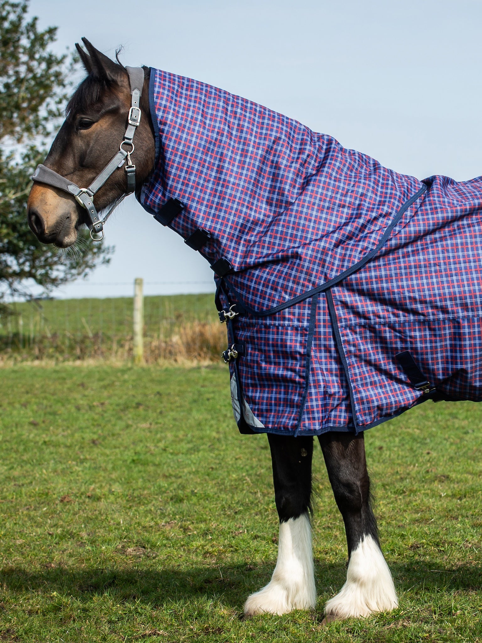 Epic Classic 50g Turnout Hood - Regular Fit