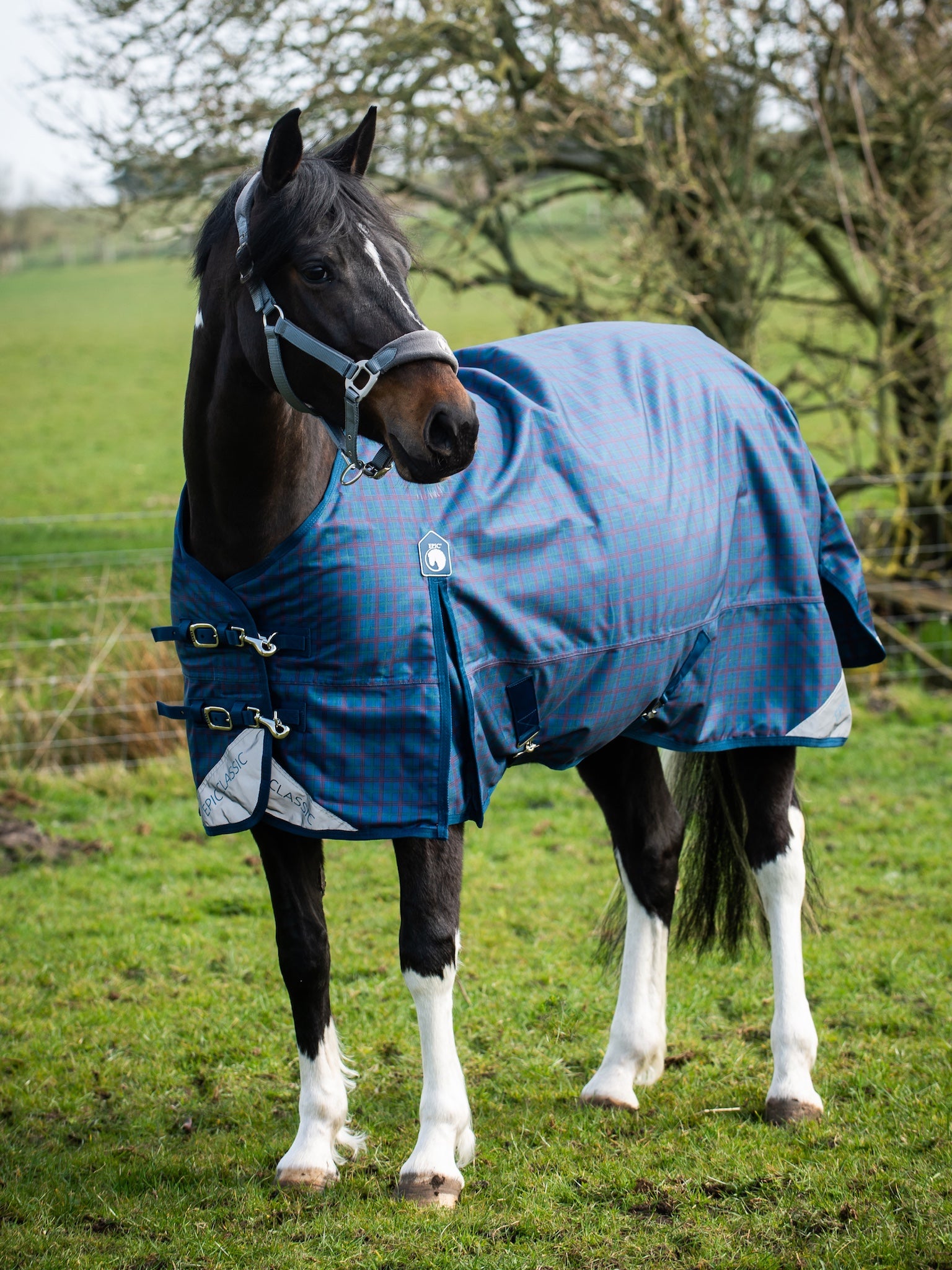 Epic Classic 100g Turnout Rug - Regular Fit