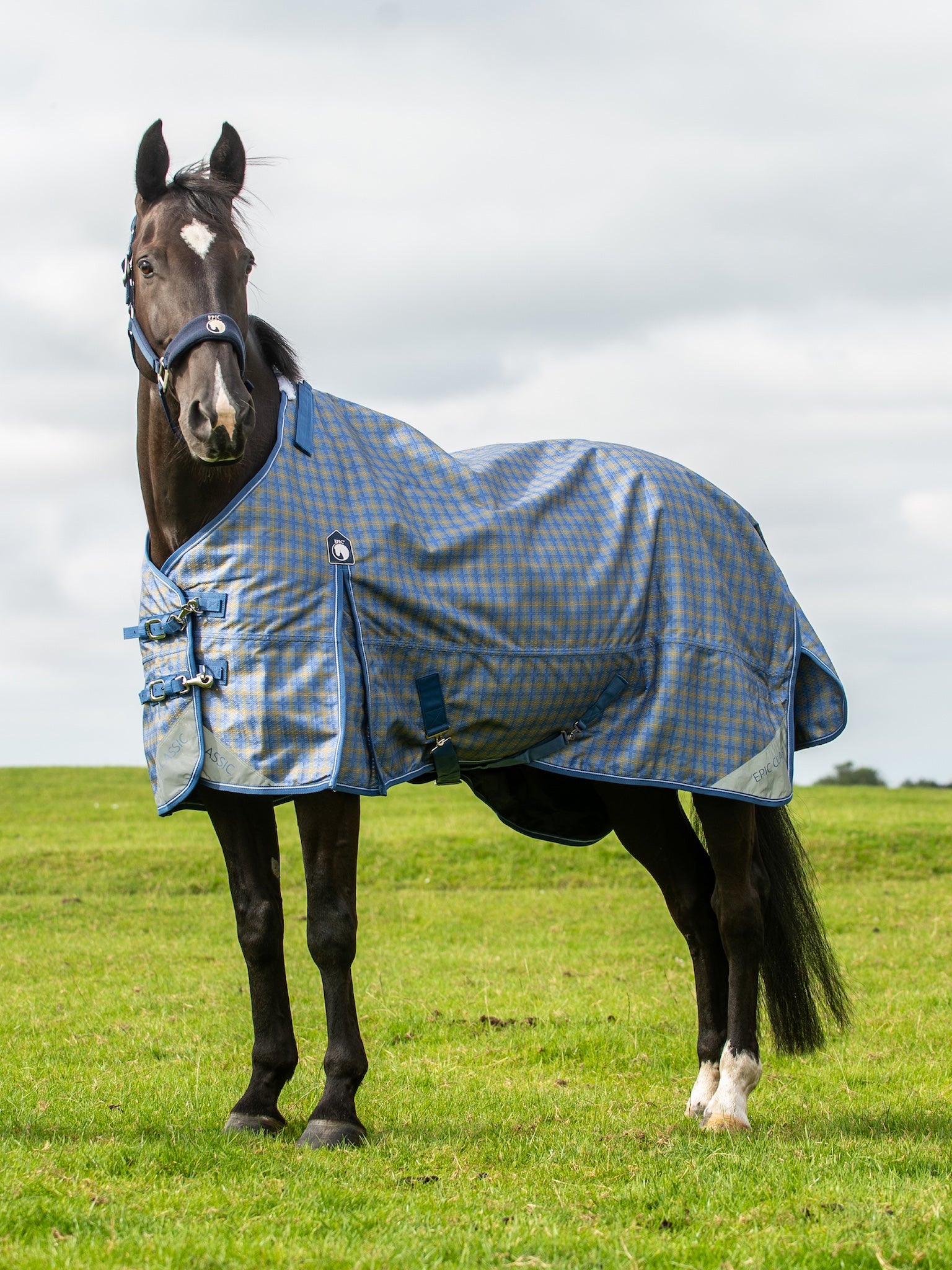 Epic Classic No Fill Turnout Rug - Regular Fit