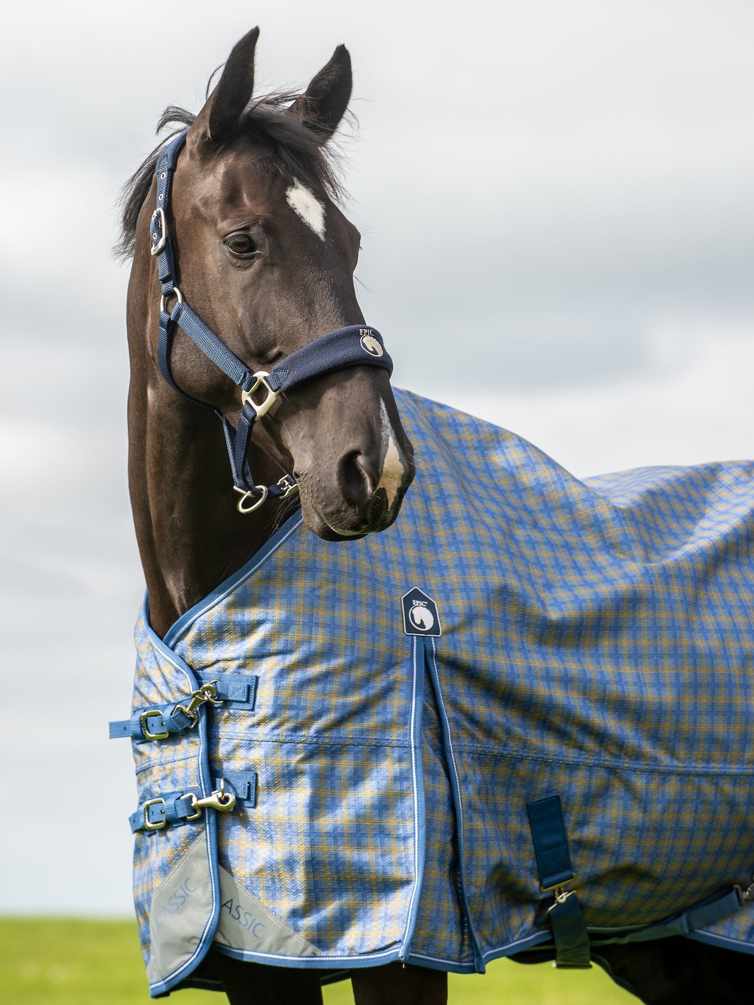 Epic Classic No Fill Turnout Rug - Regular Fit