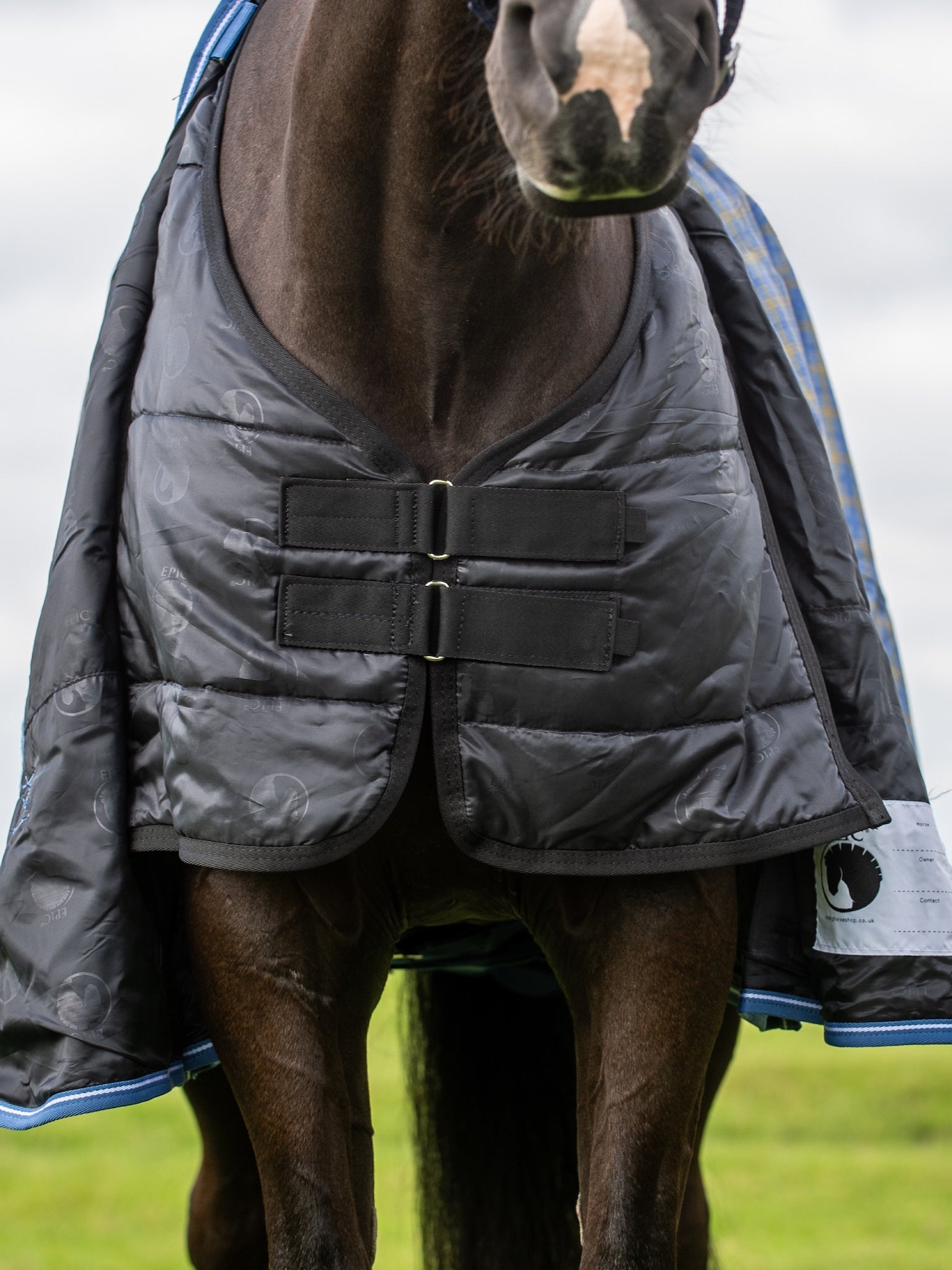 Epic Classic No Fill Turnout Rug - Regular Fit