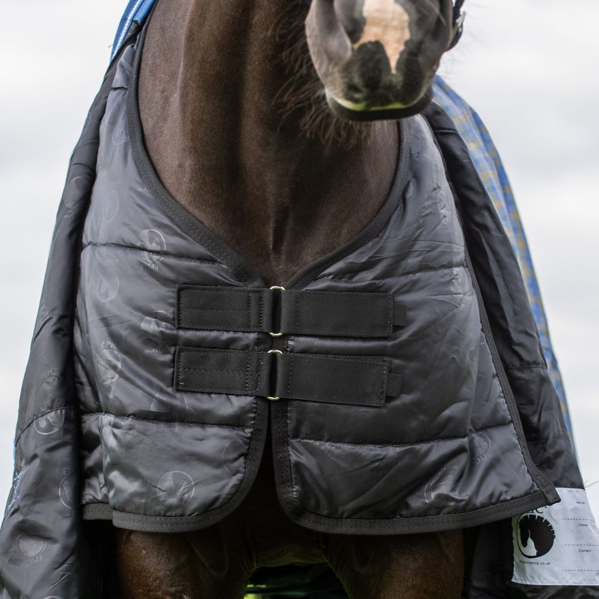 Horse wearing a gray quilted blanket under a turnout rug on a grassy field