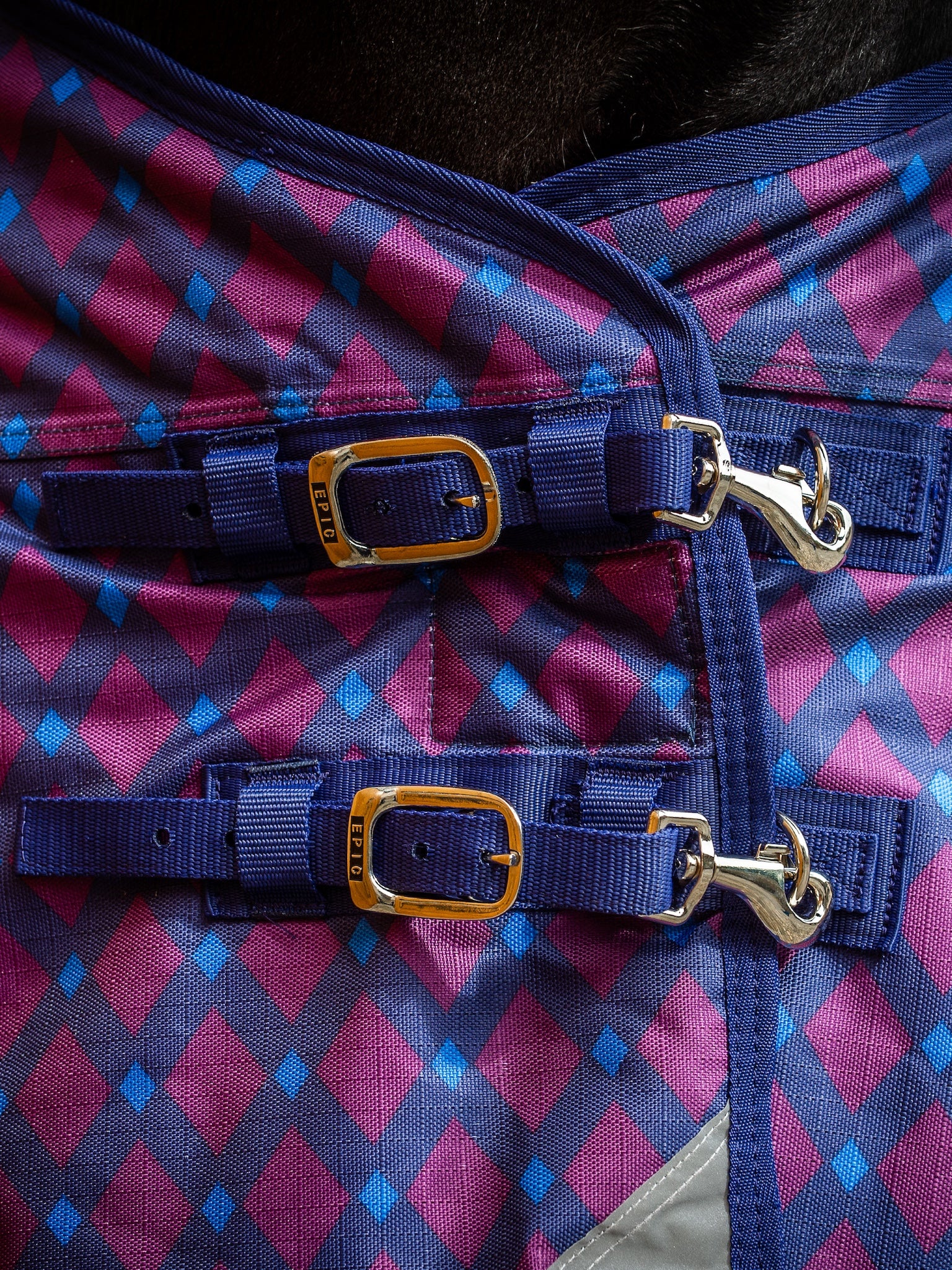 Epic Classic 200g Turnout Rug - Broad Fit