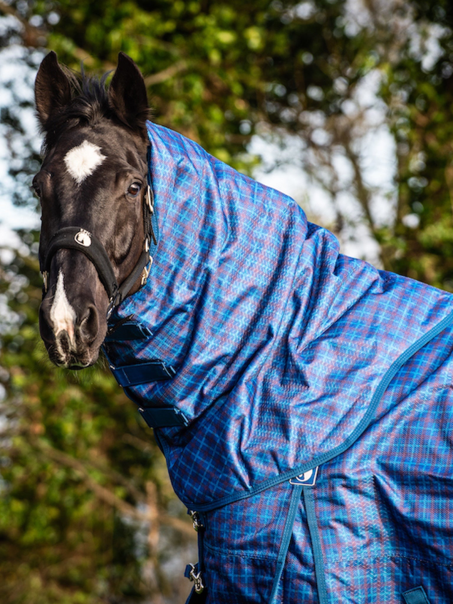 Epic Classic 200g Turnout Hood - Regular Fit