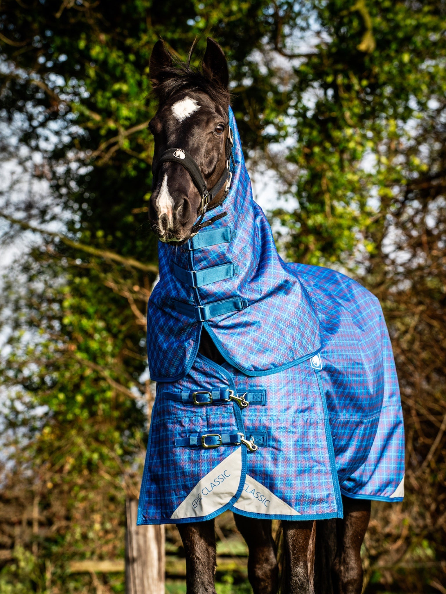 Epic Classic 200g Turnout Hood - Regular Fit