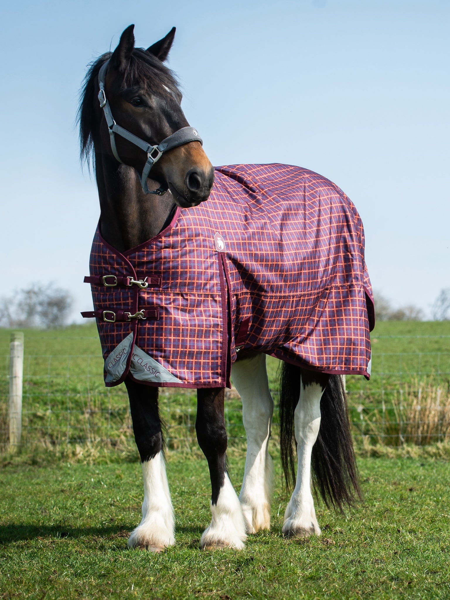 Epic Classic 200g Turnout Rug - Regular Fit