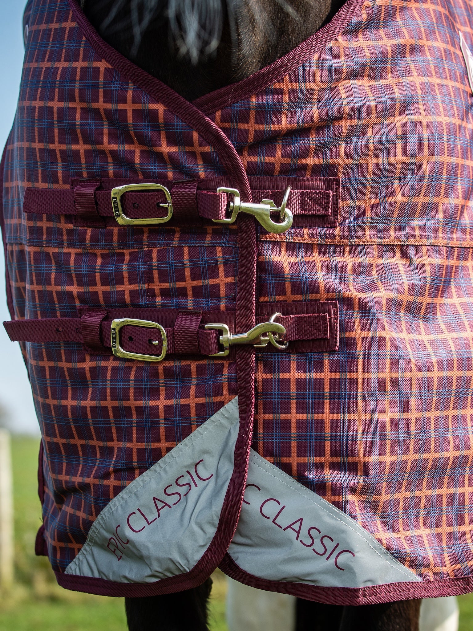 Epic Classic 200g Turnout Rug - Regular Fit