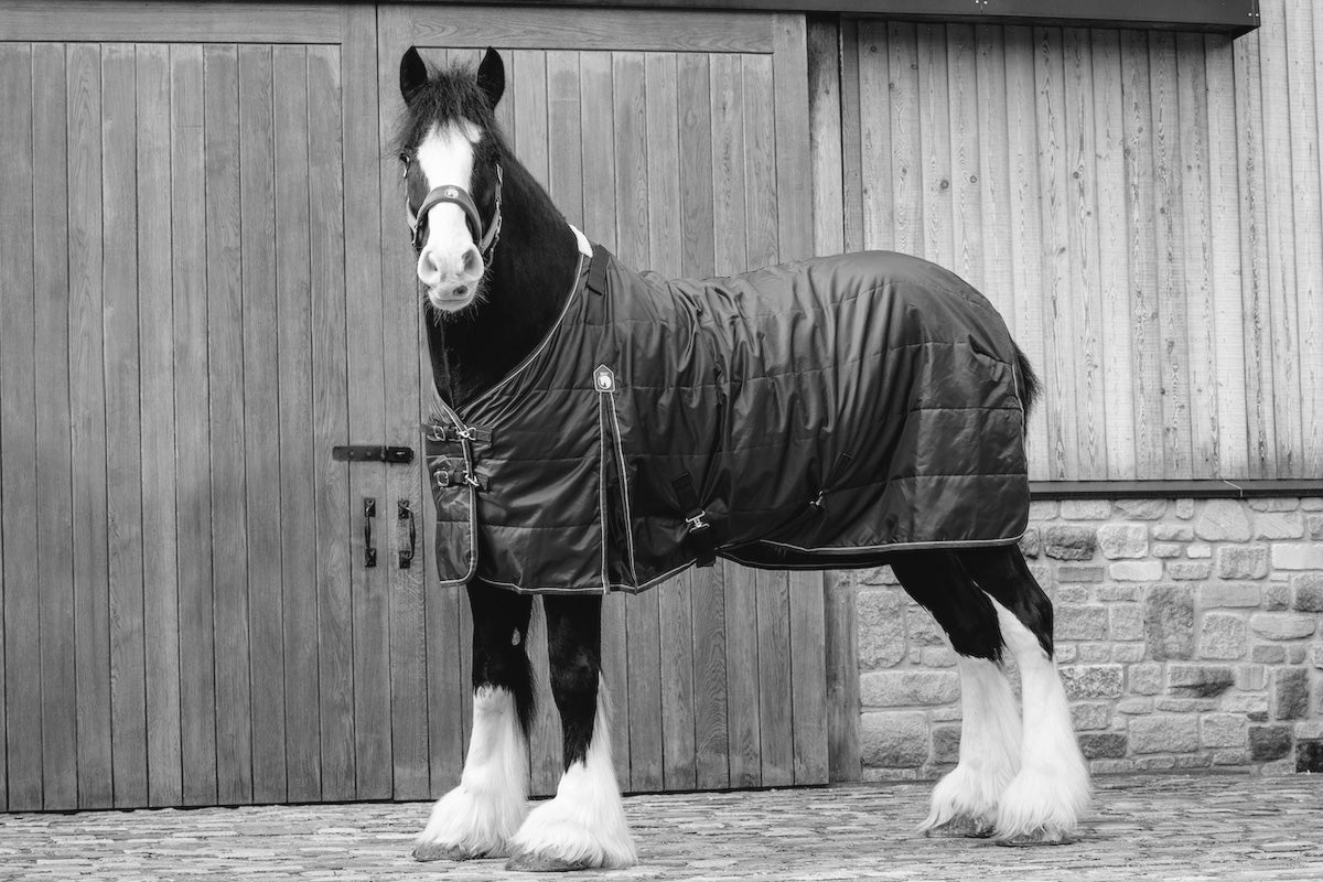 COMING SOON Epic Essential 100g Stable Rug - Broad Fit