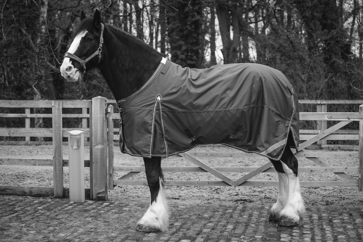 COMING SOON Epic Essential 100g Turnout Rug - Broad Fit