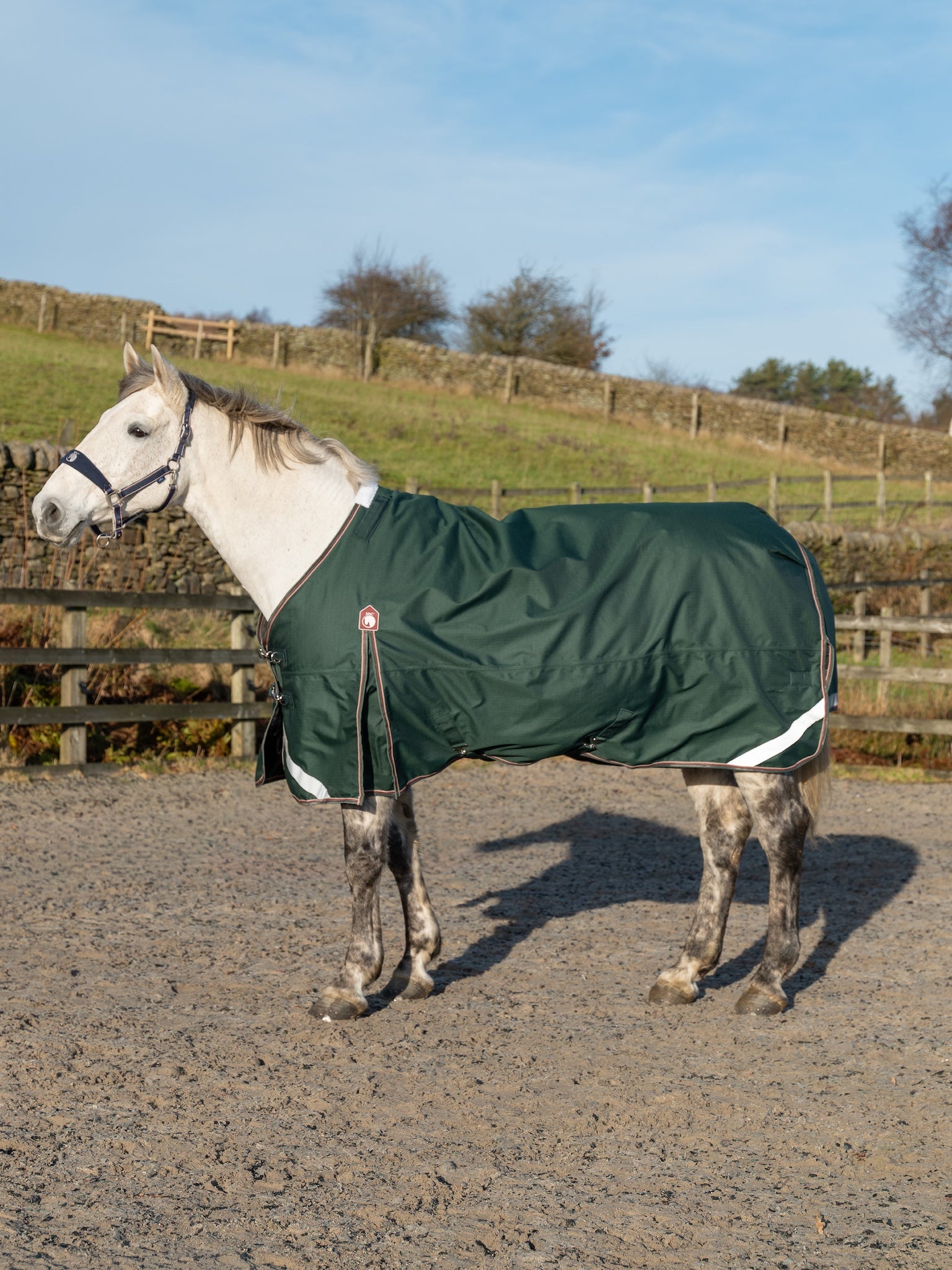 Epic Essential 100g Turnout Rug - Regular Fit