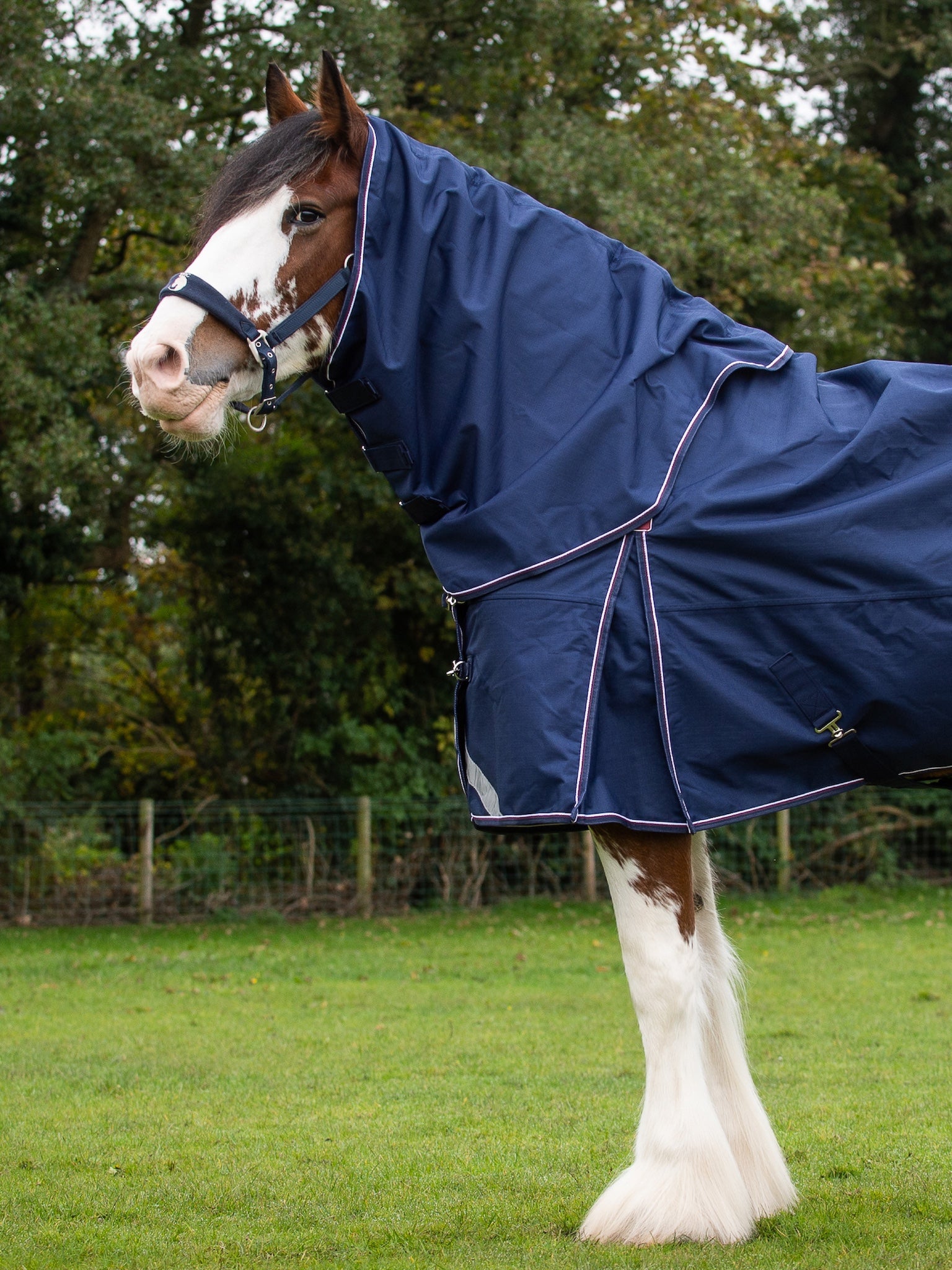 Epic Essential 40g Turnout Hood - Broad Fit