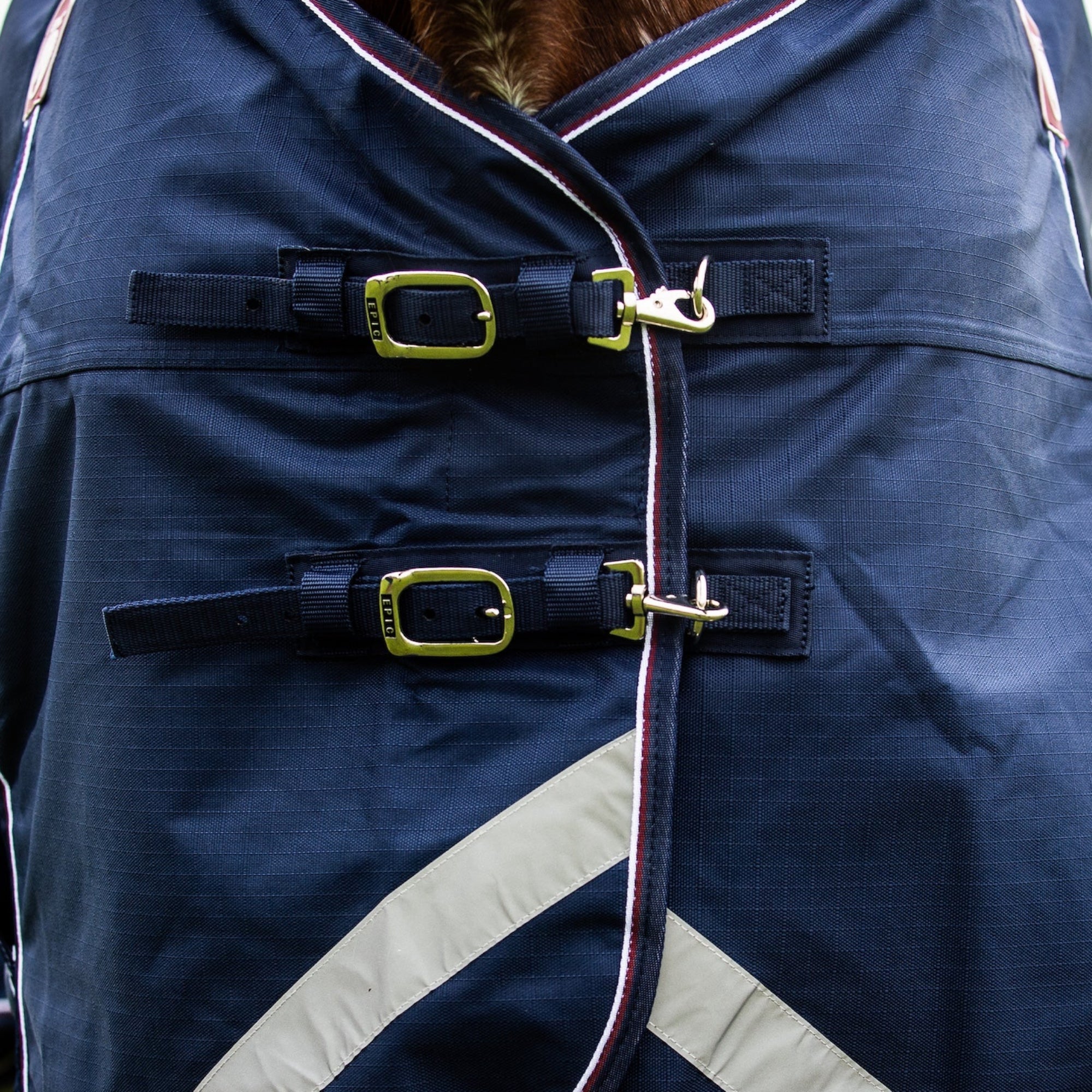 Navy blue horse blanket with reflective stripes and silver buckles on a horse.