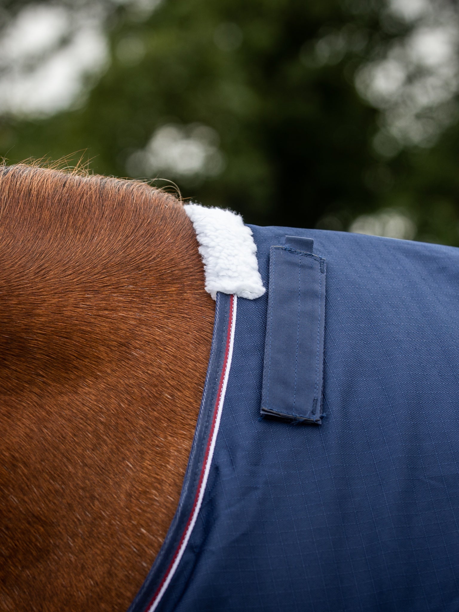 Epic Essential 40g Turnout Rug - Broad Fit - Navy