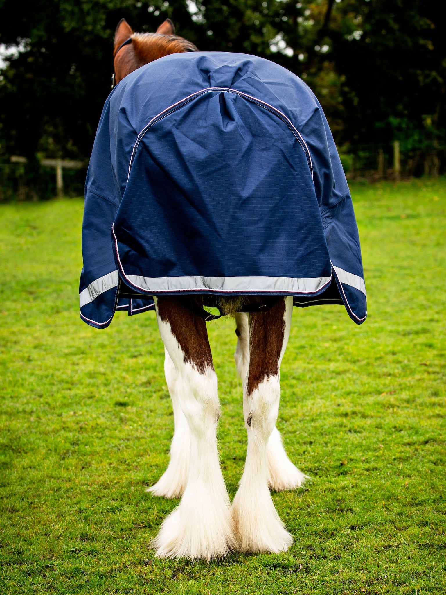 Epic Essential 40g Turnout Rug - Broad Fit - Navy
