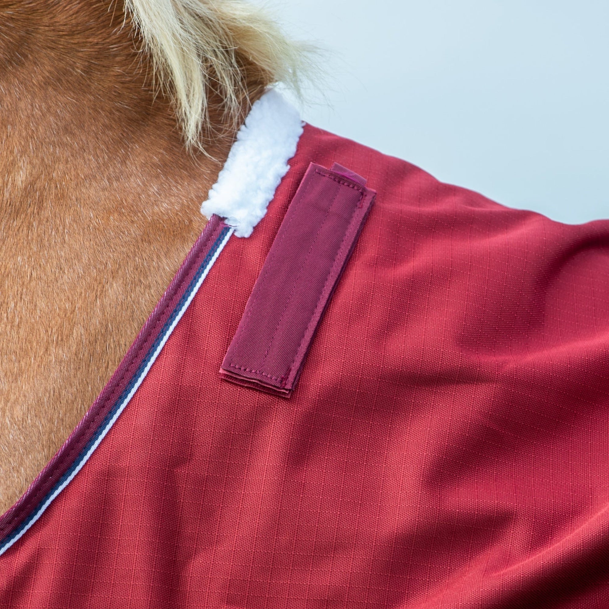 Close-up of a red equestrian blanket with a brand label on a horse.