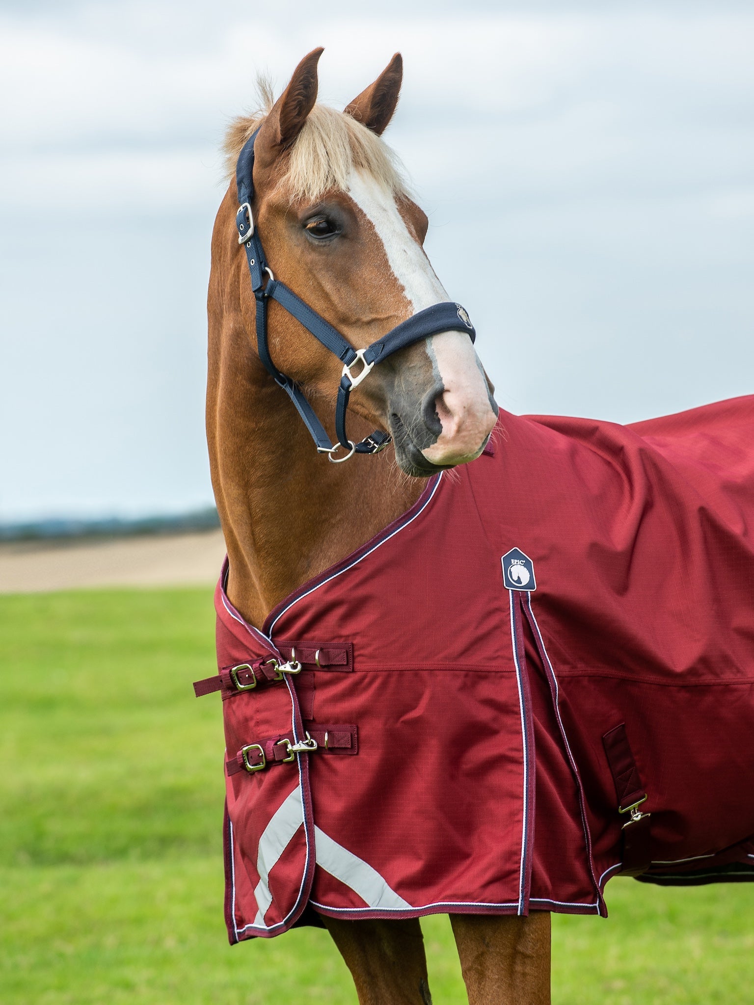 Epic Essential No Fill Turnout Rug - Broad Fit