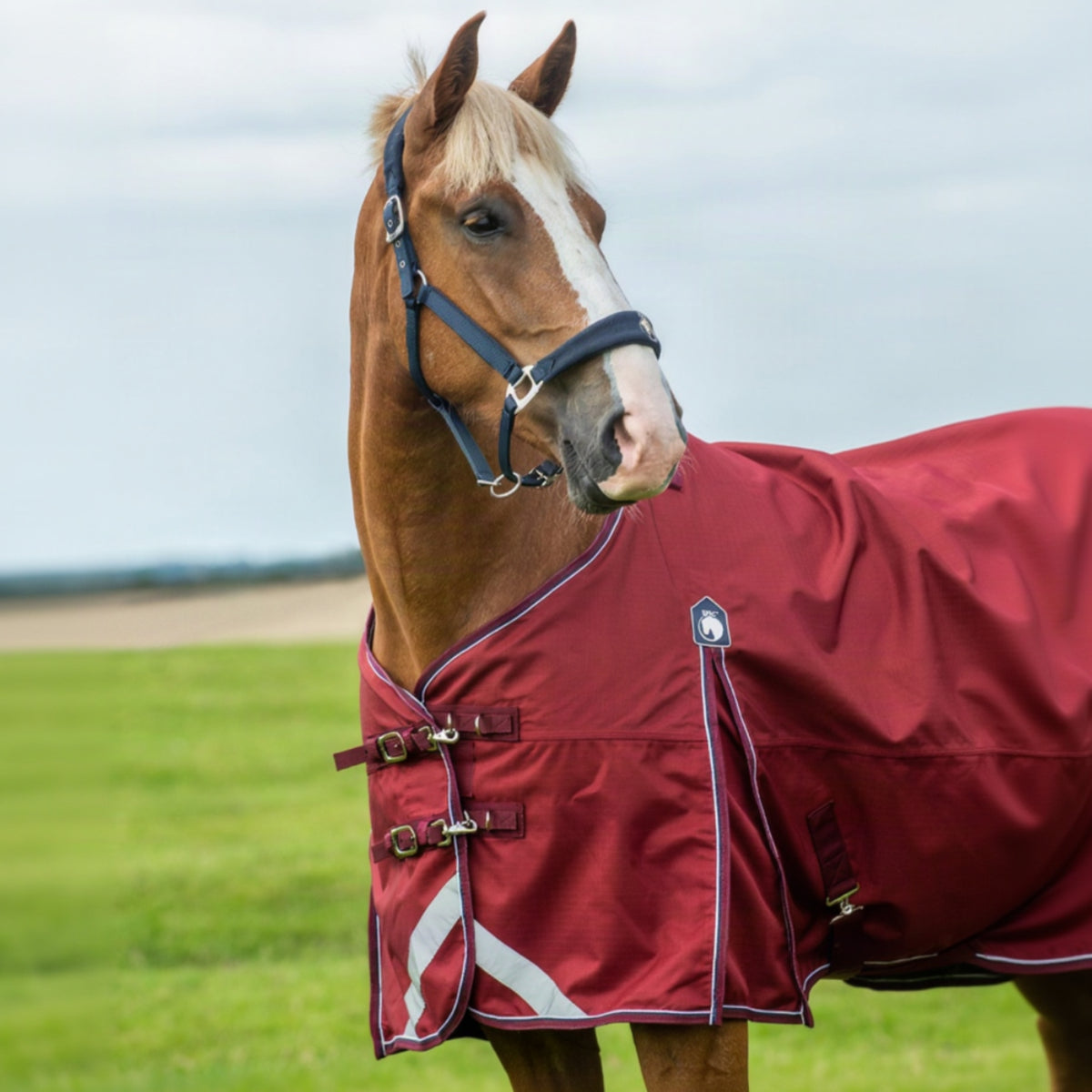 Horse wearing a red blanket in an outdoor setting