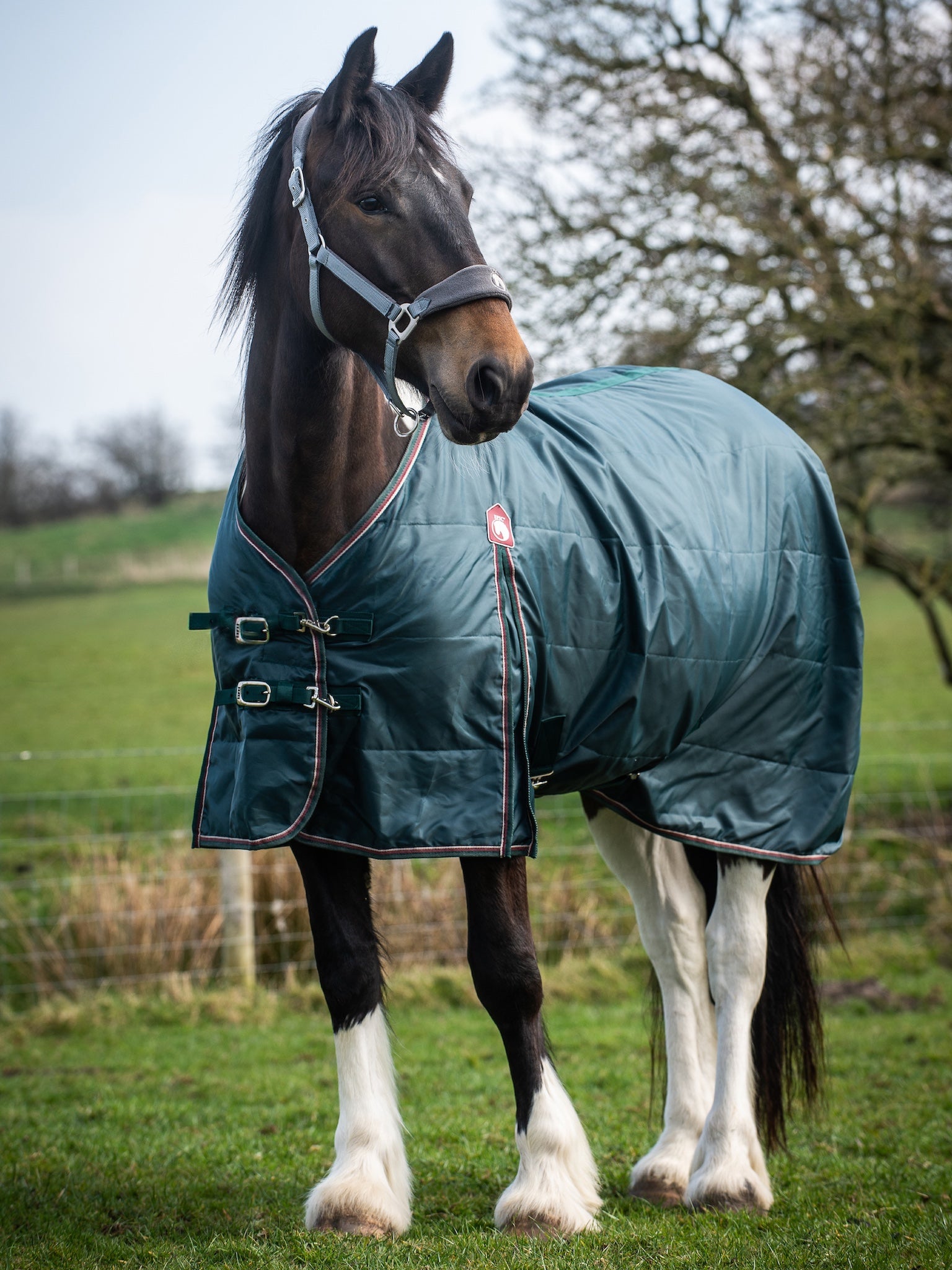 Epic Essential 50g Stable Rug - Regular Fit
