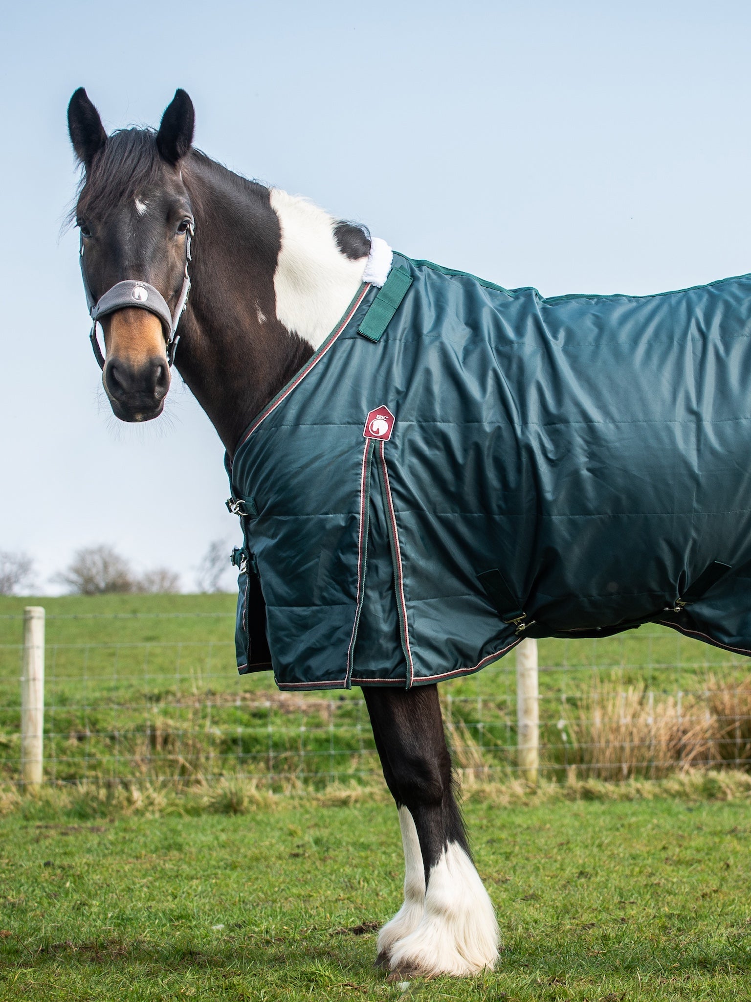 Epic Essential 200g Stable Rug - Regular Fit
