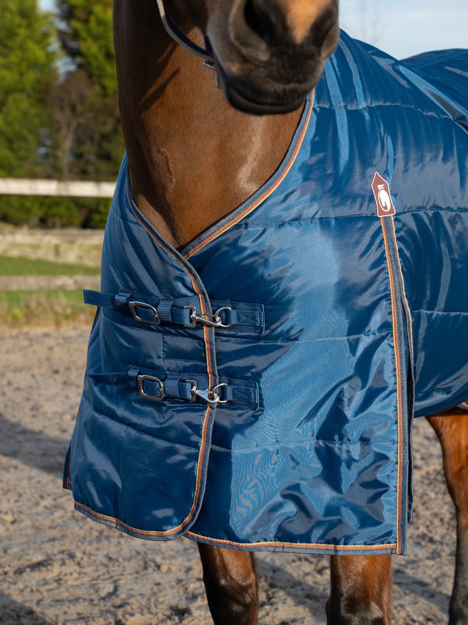 Epic Essential 100g Stable Rug - Regular Fit - Poseidon Blue