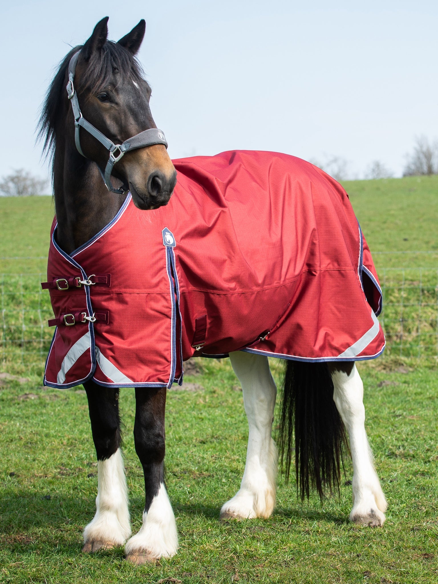Epic Essential No Fill Turnout Rug - Regular Fit