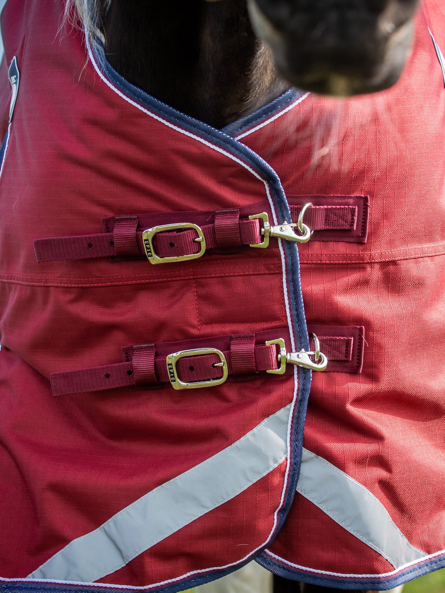 Epic Essential 100g Turnout Rug - Regular Fit