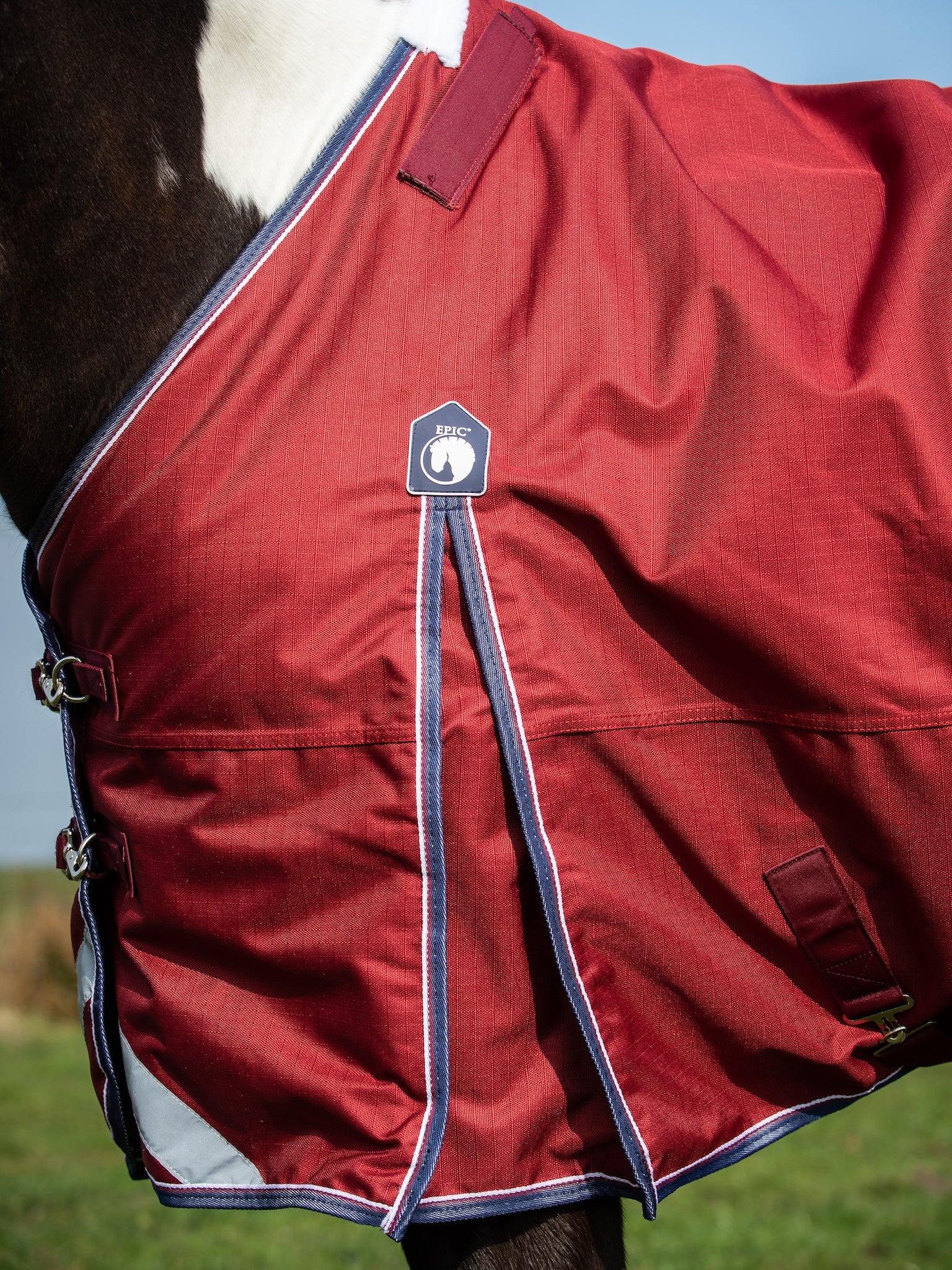 Epic Essential 100g Turnout Rug - Regular Fit
