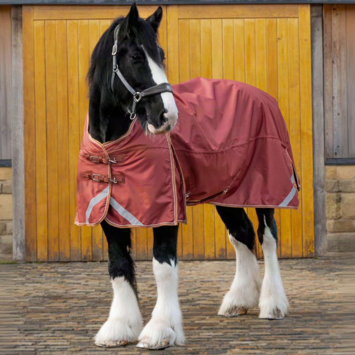 Horse wearing a red blanket standing in front of a wooden stable door.